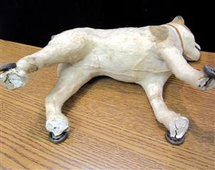 RARE ANTIQUE LATE 1800'S MOLDED CARDBOARD SPOTTED DOG W/GLASS EYES ON WHEELS